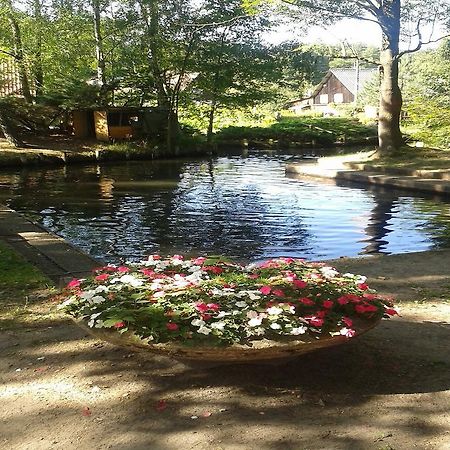 Spreewaldhotel Leipe Luebbenau Luaran gambar
