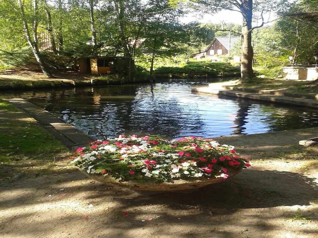Spreewaldhotel Leipe Luebbenau Luaran gambar